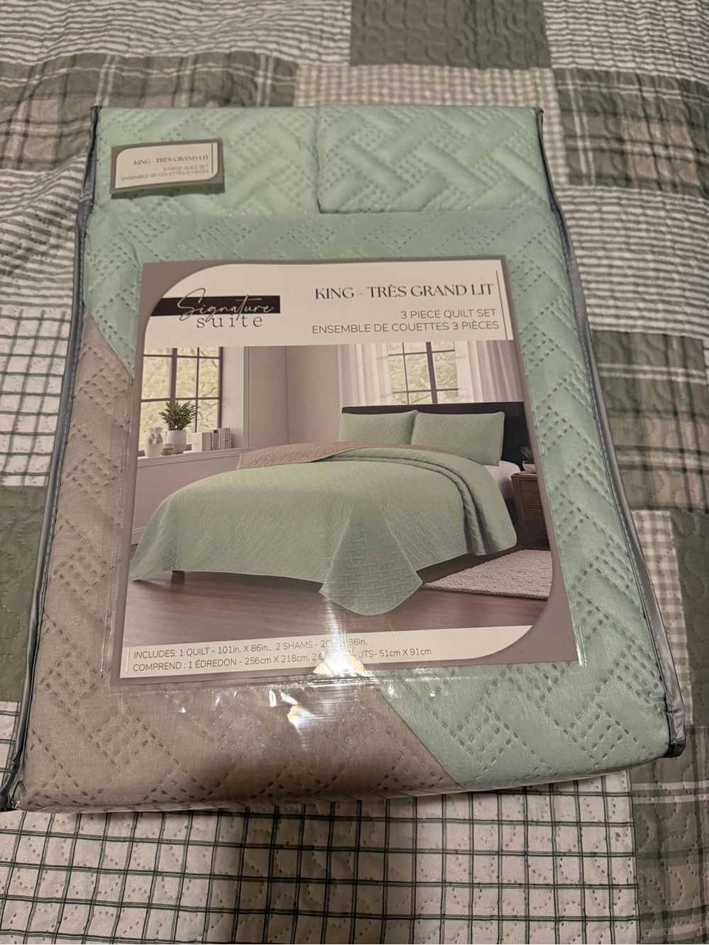 King Quilt Set in Mint Green - 3 Piece